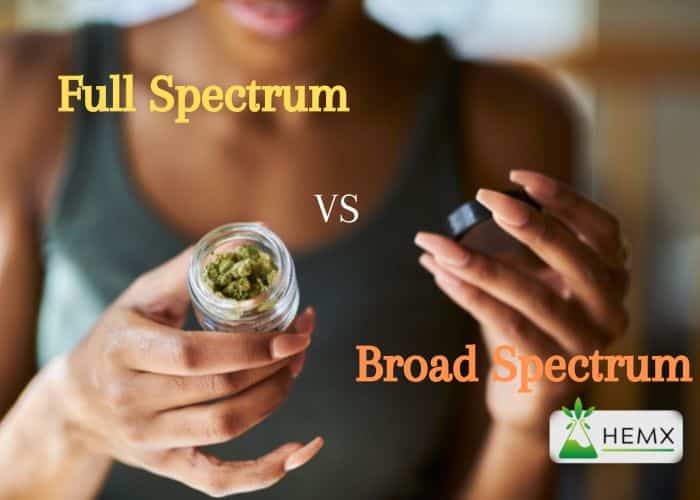 WHAT'S THE DIFFERENCE BETWEEN FULL VS BROAD SPECTRUM CBD?